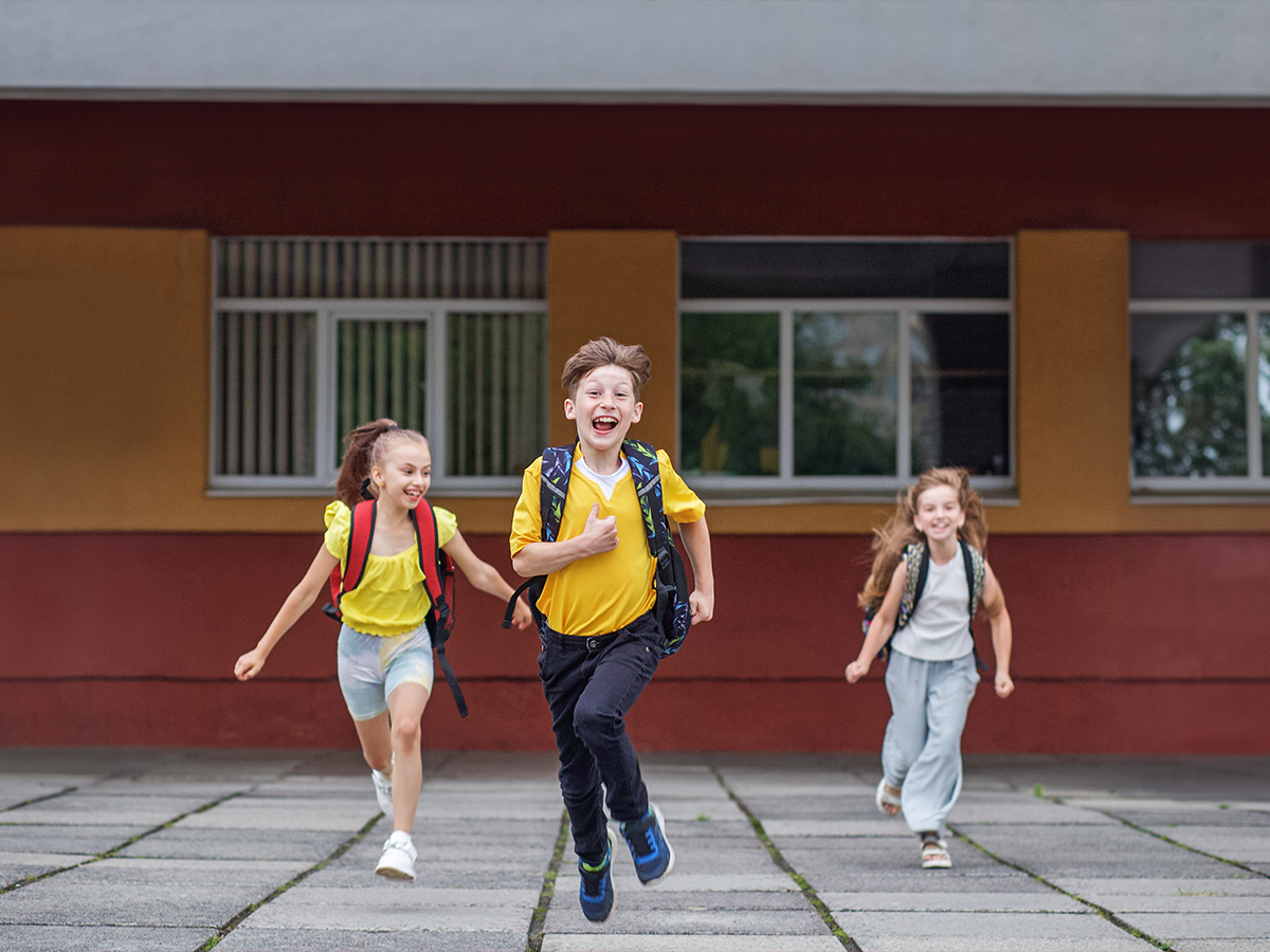 Kurumsal görsel alanı